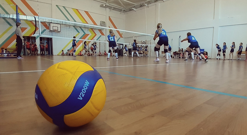 Сотрудницы МТЗ в составе сборной Минска выиграли чемпионат Беларуси по волейболу среди инвалидов по слуху - t3t5tcmd1iau9cq4uj1tpcw3wby1h3q3